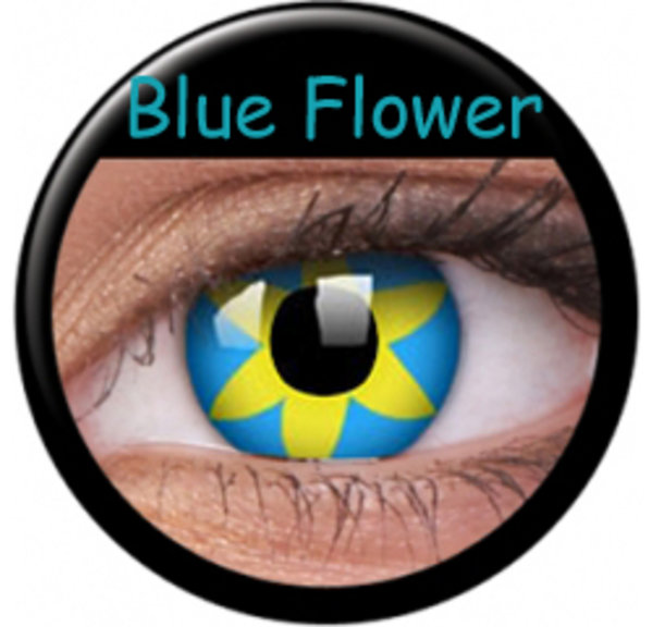 CRAZY ČOČKY  (2ks, tříměsíční) - Blue Flower