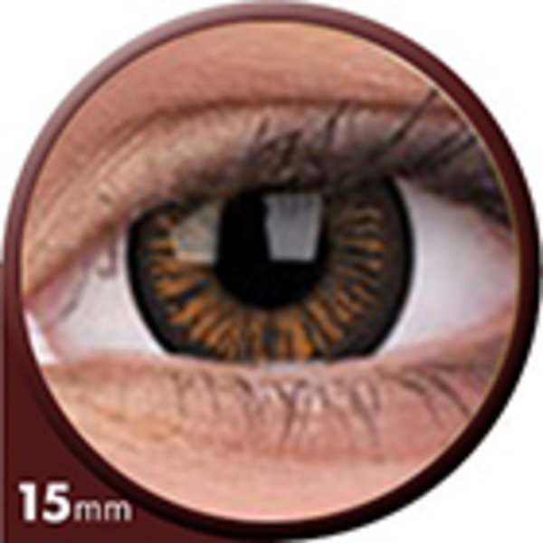 Phantasee Big Eyes - Charming Brown (2 čočky tříměsíční) - dioptrické -1,00 exp. 07/21